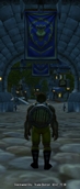 Accurate coordinates (DCoords Classic)