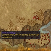 HandyNotes — Netherwing Eggs