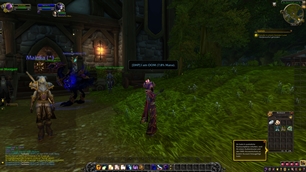 HealerProtection