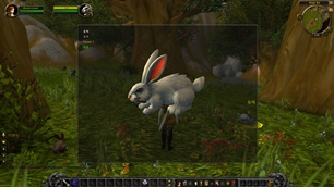 Model Viewer Model Viewer