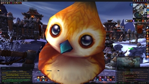 Pepe