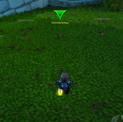 PetFarmer